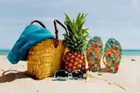 See all coach travel categories