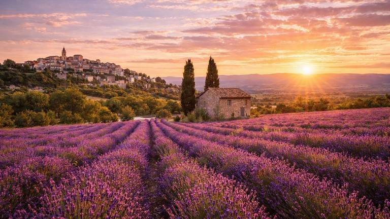 Circuit thématique en Provence pour groupes en autocar