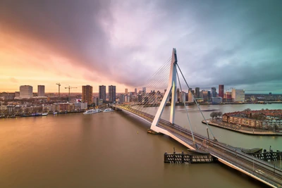 Vue aérienne du pont Érasme, un emblème de Rotterdam au Pays-Bas
