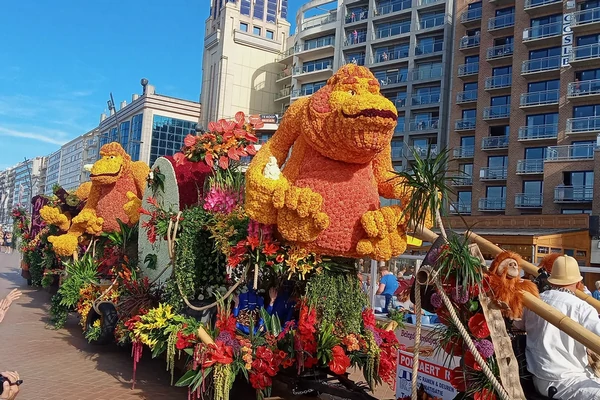 Voyage en autocar organisé pour découvrir la parade colorée du Corso Fleuri à Blankenberge.