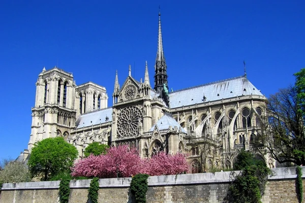 Cathédrale Notre-Dame de Paris
